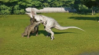 3 Triceratops(Modified) VS Spinosaurus, I-Raptor, I-Rex, Suchomimus and T-Rex - JWE