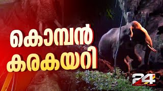 'കാട്ടുകൊമ്പൻ കരകയറി' മലപ്പുറത്ത് കിണറ്റിൽ വീണ ആനയെ കരകയറ്റി