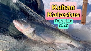 KUHAN KALASTUS TALVELLA || GÖS FISKE || FISHING