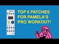 My 5 Favourite ways to use the ALM Busy Circuits Pamela's Pro Workout!