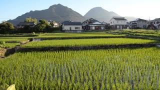 島原　恵みの風景