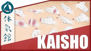 HOW TO: KAISHO - OPEN HANDS | Shōtōkan Karate Technique by Fiore Tartaglia