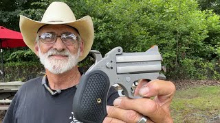 Bond arms honey B. Stinger. Chambered in a 38 special.  Check it out.