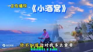 经典歌曲精选联唱 ，曲中解忧愁，词中表心镜