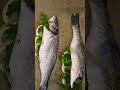 How To Make Branzino