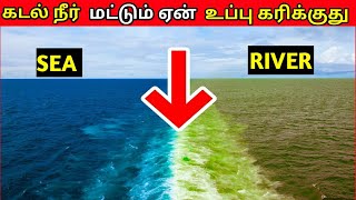 கடல் நீர் மட்டும் ஏன் உப்பு கரிக்கிறது தெரியுமா??? Why sea Water is salty?? | Facts | Tamil Facts