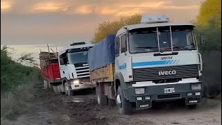 CAMIONES ARGENTINOS AL EXTREMO SALIDAS DEL CAMPO 🚜