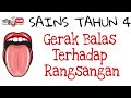 Gerak Balas Terhadap Rangsangan Sains Tahun 4