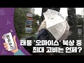 [15초뉴스] 태풍 '오마이스' 북상 중...최대 고비는 언제? / YTN