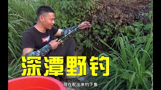 偏僻小深潭野钓，蚯蚓做诱饵下竿连连上石鲶鱼，天黑才舍得回家，过瘾【农村阿琪】