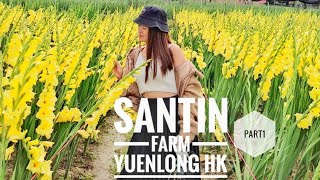 SANTIN FLOWER FARM AT YUENLONG / HOW TO GET THERE FULL GUIDE |GLAD VLOG