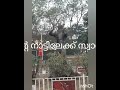 ഭ്രാന്താലയത്തിലേക്കു സ്വാഗതം സുസ്വാഗതം