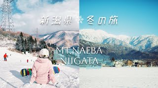 🏂Snowboard初心者的新潟滑雪之旅❄️