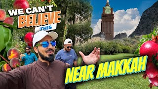 Magical place Near Makkah | you won't believe