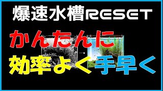 【アクアリウム】プロ直伝！水槽のリセット方法！ Aquarium Kind #7 レイアウト/メンテナンス/ネイチャーアクアリウム/4K/立ち上げ/アクアリウムショップ＆カフェ