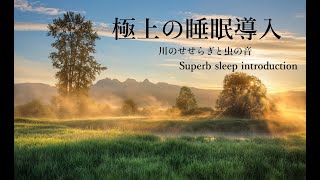 極上の睡眠導入〜川のせせらぎと虫の音〜[528Hz導入・癒し・瞑想]30分