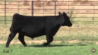 Pembrook Cattle Company Lot 7