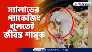 Viral Video | স্যালাডের প্যাকেজিং খুলতেই জীবন্ত শামুক, তীব্র ক্ষোভ উগরে দিলেন ক্রেতা | Snail