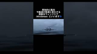 飛行機の警報音 (閲覧注意⚠️)