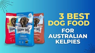 3 Best Dog Food for Australian Kelpies