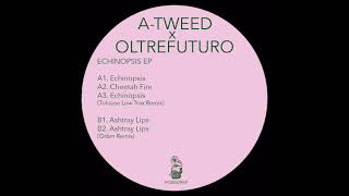 [HOB009] A-TWEED x OLTREFUTURO - Cheetah Fire