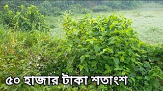 পানির দামে জমি !! ঢাকা দক্ষিণ কেরানীগঞ্জ মাত্র ৫০ হাজার টাকা শতাংশে বিশাল জমি বিক্রি হবে#bd_property