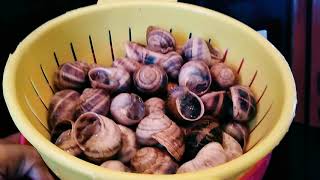 How to Clean the Exotic Escargot (PLUS HEALTH BENEFITS!) | Snail | Healthy Food| Protien-Packed