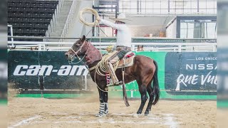 New rodeo tradition in SA: significance of the inaugural Charro Breakfast