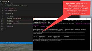 The C system() function