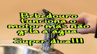 Bebedouro liga, funciona o motor mais não gela a água?