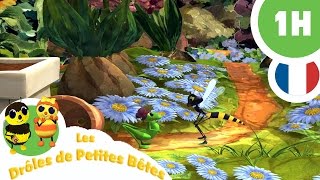 DRÔLES DE PETITES BÊTES - 1 Heure - Compilation #02