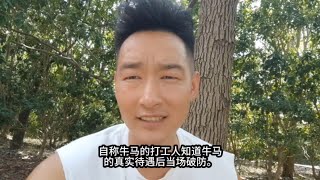 自称牛马的人知道牛马真实待遇之后破防了