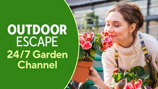 Outdoor Escape: Your 24/7 Garden Channel | QVC+ HSN+