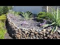 sonoma moss wall rock and red mexican beach pebbles