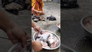 ଗାଁରେ ମାଛ ମସଲା ସମସ୍ତେ ମିଶିକି enjoy କଲୁ #song #music #viralvideo #food #shorts