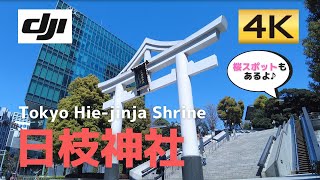 【桜もキレイ】日本の政治の中心にある緑の杜│Tokyo/Akasaka/Hie-jinja Shrine│東京赤坂・日枝神社【4k60│DJI Pokcet2】