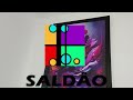 apresentação saldão dos quadros