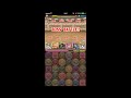 【パズドラ】第４０回チャレンジダンジョンlv.9　レイミルpt