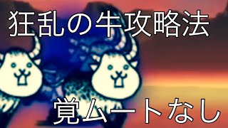 狂乱のウシネコ攻略法覚ムートなし