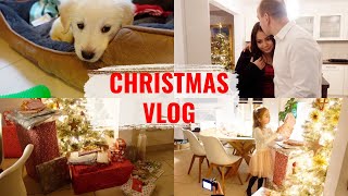 Heiligabend mit Welpen und 3 Kindern  - Vlog#1268 Rosislife