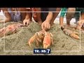 DUNIA BINATANG - LOBSTER MONSTER  (21/10/16) 3-3