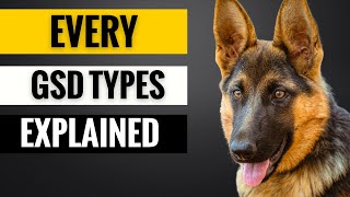 Every German Shepherd Type Explained in 5 Minutes