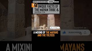 3/9 THE MAYANS AND TOLTECS   #9 UNIQUE FACTS ABOUT THE MAYAN TRIBE #yotubeshorts #shorts