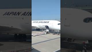 とある日の福岡空港JAL  A35#a350 #shorts #福岡空港