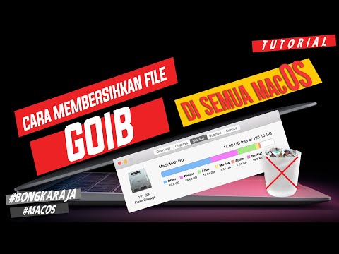 Membersihkan file 'goib' di macbook – How to delete 'other' files from any mac [TUTORIAL]