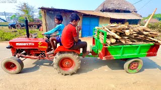 We Brought The Wood With The Mini Mahindra 275 Di Tractor | Mini Tractor | Tractor Cartoon