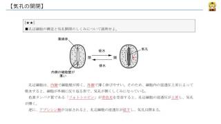 気孔の開閉 【高校生物】