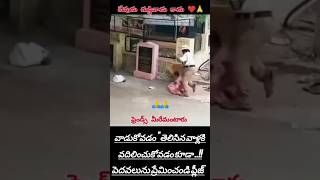 మనిషి ప్రపంచంలో ఇంతటి గుడ్డివాడు ఉన్నాడో? చూడండి! 😳