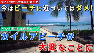 ［ハワイ］大人気ビーチが危ない!今はカイルア湾を避けるよう勧告しています【ハワイ最新情報】【ハワイの今】【ハワイ旅行2023】【HAWAII】