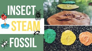 Insect Fossil Steam Activity for preschool | Play dough sensory sequence activity for kids